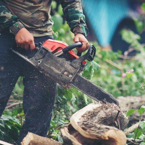 wycinanie drzew Dzierżoniów