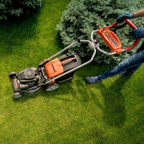 koszenie trawy Dzierżoniów